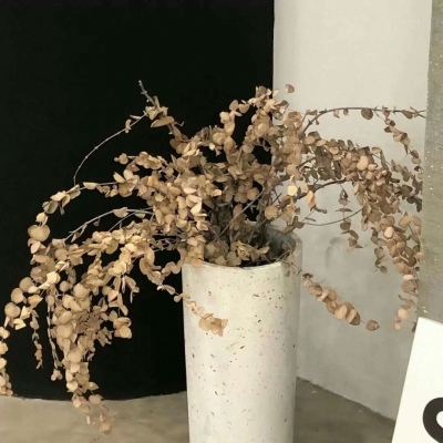 兽设花海场景设计福瑞交流群